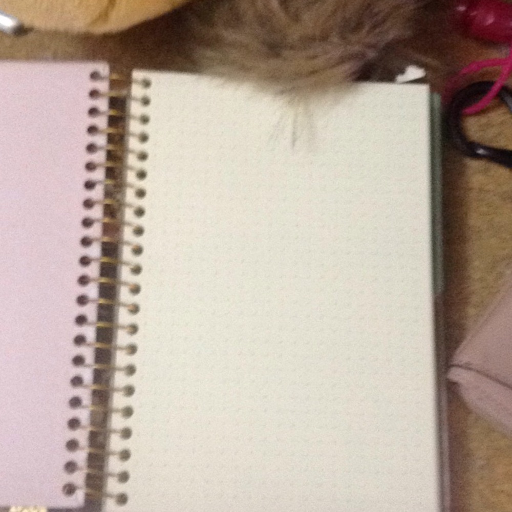 Journal - Picture 2 of 4
